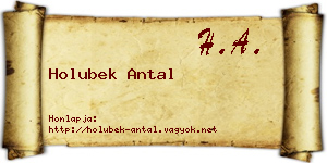 Holubek Antal névjegykártya